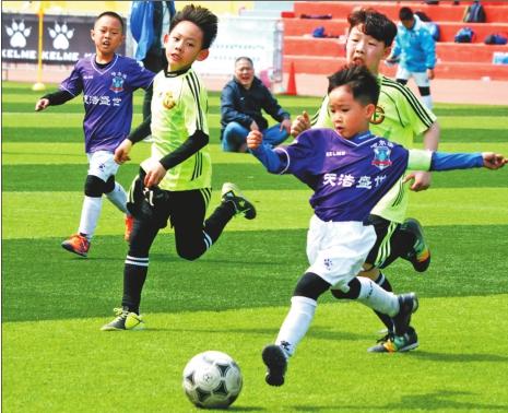 喜讯！津门虎在2026赛季本土首签预测