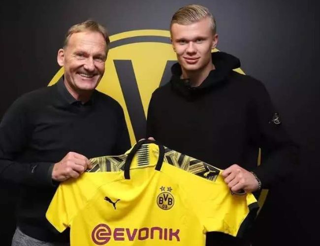G与Sco